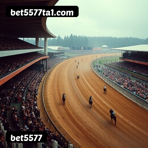 Grandes vencedores bet5577 de São Paulo, Rio de Janeiro, Belo Horizonte - Saques PIX confirmados